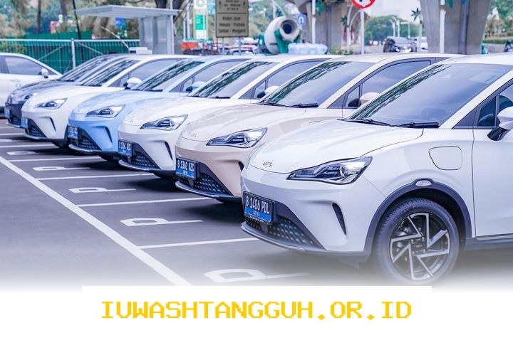 Peralihan ke Kompor dan Mobil Listrik Tingkatkan Keamanan Pasokan Energi Nasional