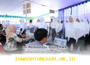 Perbedaan Gaji CPNS 2026 antara Kementerian dan Pemerintah Daerah yang Harus Diketahui Fresh Graduate Sebelum Mendaftar