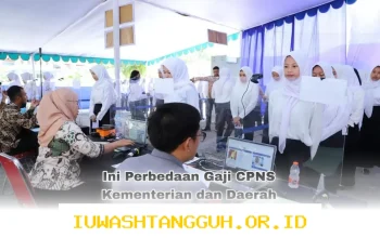 Perbedaan Gaji CPNS 2026 antara Kementerian dan Pemerintah Daerah yang Harus Diketahui Fresh Graduate Sebelum Mendaftar