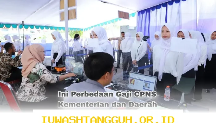 Perbedaan Gaji CPNS 2026 antara Kementerian dan Pemerintah Daerah yang Harus Diketahui Fresh Graduate Sebelum Mendaftar