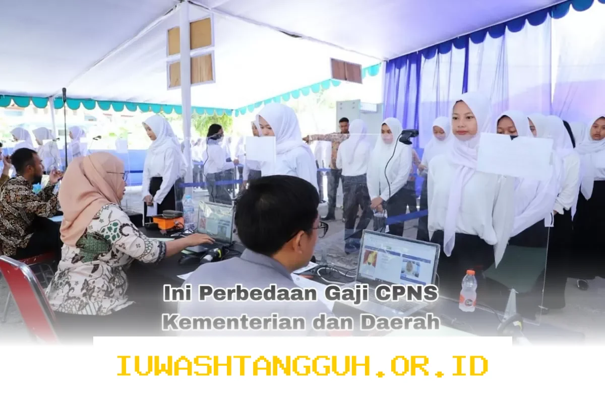 Perbedaan Gaji CPNS 2026 antara Kementerian dan Pemerintah Daerah yang Harus Diketahui Fresh Graduate Sebelum Mendaftar