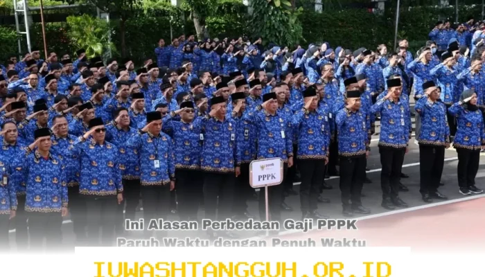 Perbedaan Gaji PPPK Paruh Waktu dan Penuh Waktu Meskipun Status ASN Sama