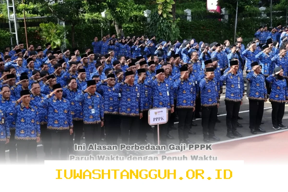 Perbedaan Gaji PPPK Paruh Waktu dan Penuh Waktu Meskipun Status ASN Sama