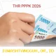 Perhatian PPPK! Masa Kerja Menentukan Hak Anda Mendapatkan THR 2026