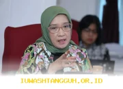 Persiapan CPNS 2026 Dimulai, Menteri PANRB Ingatkan Syarat Wajib bagi Calon Pelamar