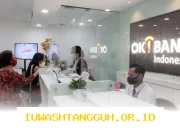 Pertumbuhan Kredit Investasi OK Bank Capai 5 Persen di Awal 2026 Didukung Sektor Perdagangan dan Industri