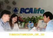 Pertumbuhan Pendapatan Premi Asuransi Jiwa BCA Mencapai 32,9 Persen di Tahun 2025