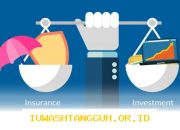 Pertumbuhan Premi Unit-Linked Capai 6,56% pada Januari 2025