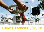 Perusahaan Energi Massal Potensial Temukan Cadangan Minyak Sebesar 15,6 Juta Barel di Wilayah Riau yang Menjanjikan Keuntungan Besar bagi Investor dan Pemerintah Daerah