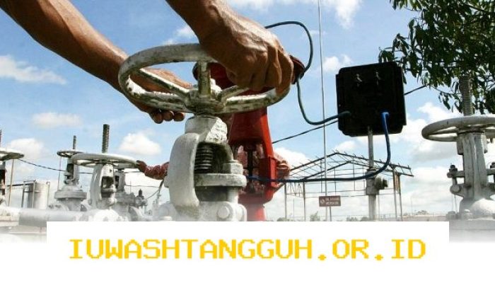 Perusahaan Energi Massal Potensial Temukan Cadangan Minyak Sebesar 15,6 Juta Barel di Wilayah Riau yang Menjanjikan Keuntungan Besar bagi Investor dan Pemerintah Daerah