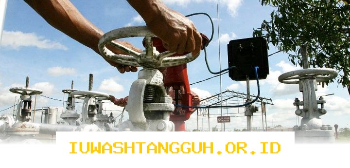 Perusahaan Energi Massal Potensial Temukan Cadangan Minyak Sebesar 15,6 Juta Barel di Wilayah Riau yang Menjanjikan Keuntungan Besar bagi Investor dan Pemerintah Daerah