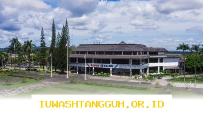 Perusahaan Pupuk Kaltim Tingkatkan Efisiensi Operasional untuk Mendorong Pertumbuhan Bisnis yang Berkelanjutan di Tahun Ini