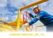 PGN Catat EBITDA Sebesar 971 Juta Dolar Amerika pada Tahun 2025