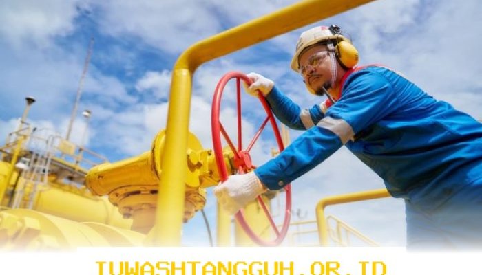 PGN Catat EBITDA Sebesar 971 Juta Dolar Amerika pada Tahun 2025