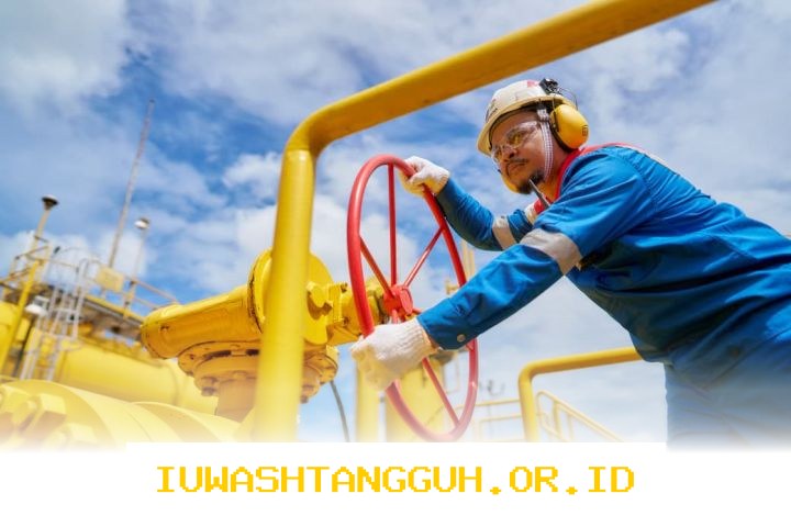 PGN Catat EBITDA Sebesar 971 Juta Dolar Amerika pada Tahun 2025