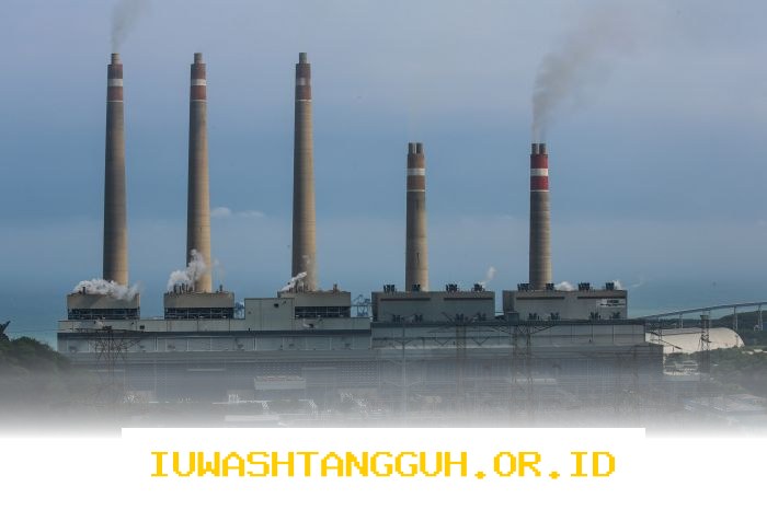 PLN Terima Pasokan 84 Juta Ton Batu Bara, Kelistrikan Nasional Dijamin Stabil Tanpa Gangguan