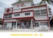 PMI Segera Buka Rekrutmen Staf Manajemen Risiko, Ini Informasi Selengkapnya untuk Pelamar