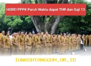PPPK Paruh Waktu Berhak Terima THR dan Tunjangan Gaji 13 Tahun Ini