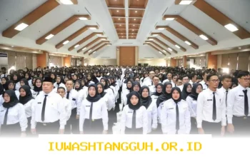 PPPK Paruh Waktu Kini Berhak Terima THR dan Gaji ke-13 Tanpa Syarat