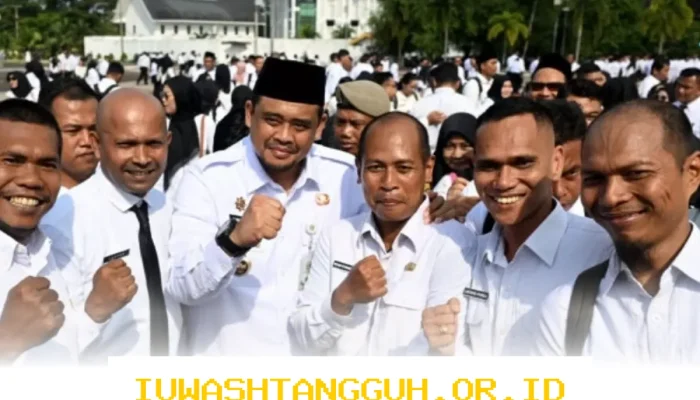 PPPK Paruh Waktu Sumut Ucapkan Terima Kasih kepada Gubernur Bobby Nasution atas Bantuan THR Pengganti yang Cair pada 16 Maret 2026