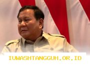 Prabowo Inginkan Kendaraan Listrik Bertenaga Surya untuk Transportasi Masa Depan
