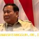 Prabowo Inginkan Kendaraan Listrik Bertenaga Surya untuk Transportasi Masa Depan
