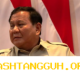 Prabowo Tetapkan Target Pembangunan Energi Surya Nasional Capai 100 Gigawatt Selama Dua Tahun Mendatang