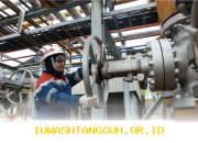 Produksi Minyak di Lapangan Limau PEP Mencapai 5.102 BOPD pada Kuartal Ini