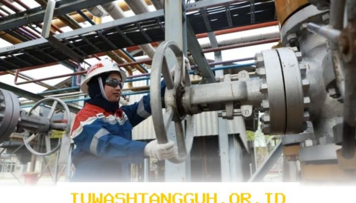 Produksi Minyak di Lapangan Limau PEP Mencapai 5.102 BOPD pada Kuartal Ini