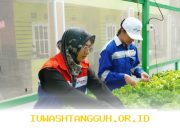 Program Pemberdayaan Perempuan Dorong Pertumbuhan Ekonomi dan Kemandirian Sosial di Masyarakat