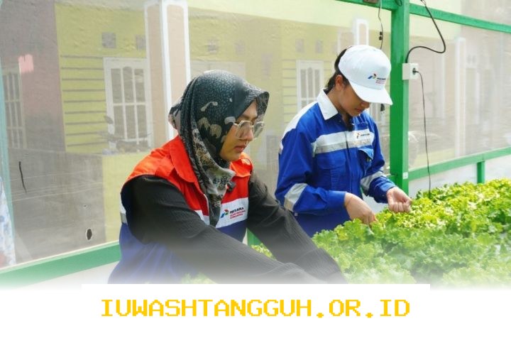 Program Pemberdayaan Perempuan Dorong Pertumbuhan Ekonomi dan Kemandirian Sosial di Masyarakat