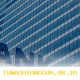 Prospek Dividen Saham BBRI, BMRI, BBTN, dan BDMN pada Tahun Buku 2025, Semakin Menggiurkan?
