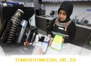 QRIS Menembus Pasar Global: Tantangan dan Peluang di Era Digital