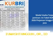 Simulasi Pinjaman KUR BRI Maret 2026 Tanpa Jaminan untuk Modal Usaha UMKM hingga Rp100 Juta