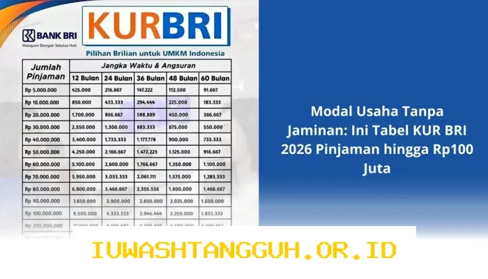 Simulasi Pinjaman KUR BRI Maret 2026 Tanpa Jaminan untuk Modal Usaha UMKM hingga Rp100 Juta