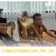 Sinergi Wali Kota Palu dengan BPOM Tingkatkan Pengawasan Keamanan Obat dan Makanan