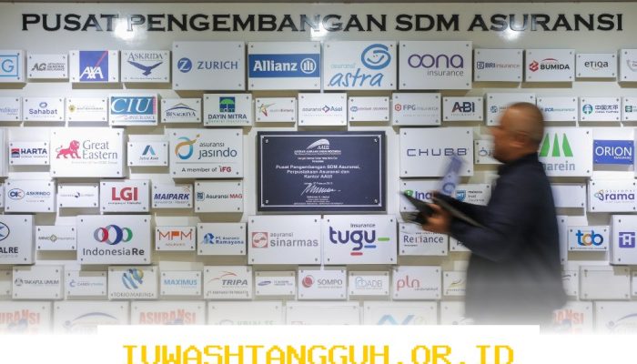Standar RBC Terbaru dari AAUI Dapat Meningkatkan Stabilitas Sektor Asuransi Nasional