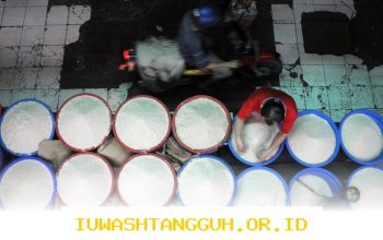 Stok Beras Nasional Capai 4,3 Juta Ton di Tengah Gejolak Pasar Global
