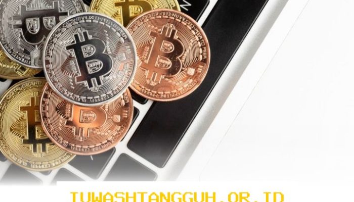 Strategi Penting bagi Investor Menghadapi Penurunan Harga Bitcoin di Pasar Keuangan Digital