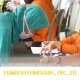 Syarat Penerima Bantuan Sosial 2026, Waktu Penyaluran Subsidi Beras dan Minyak Goreng, serta Penyebab KKS Belum Cair ke Rekening Penerima