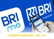 Transaction Banking BRI Mengalami Pertumbuhan Signifikan, Perkuat Positif Dana Bersumber Murah