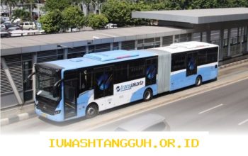 Transjakarta Tawarkan Tarif Rp12 per Perjalanan Melalui Aplikasi Resmi TJ