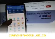 Tren Pembagian Dividen BRI dalam Lima Tahun Terkini dan Dampaknya bagi Pemegang Saham