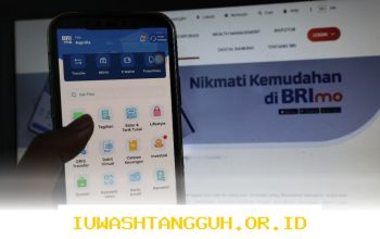 Tren Pembagian Dividen BRI dalam Lima Tahun Terkini dan Dampaknya bagi Pemegang Saham