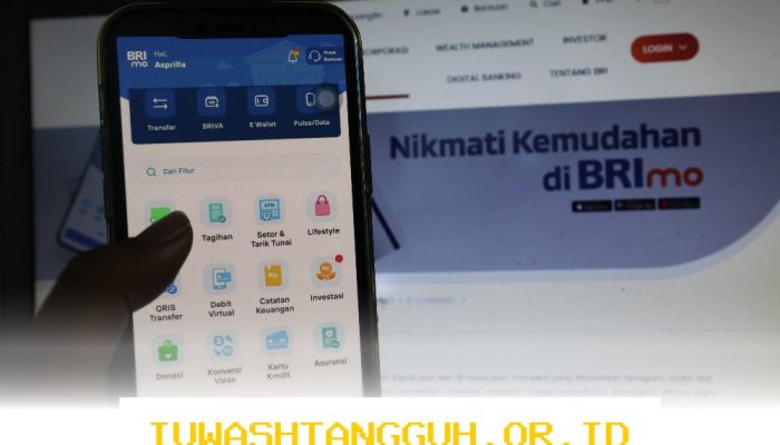 Tren Pembagian Dividen BRI dalam Lima Tahun Terkini dan Dampaknya bagi Pemegang Saham