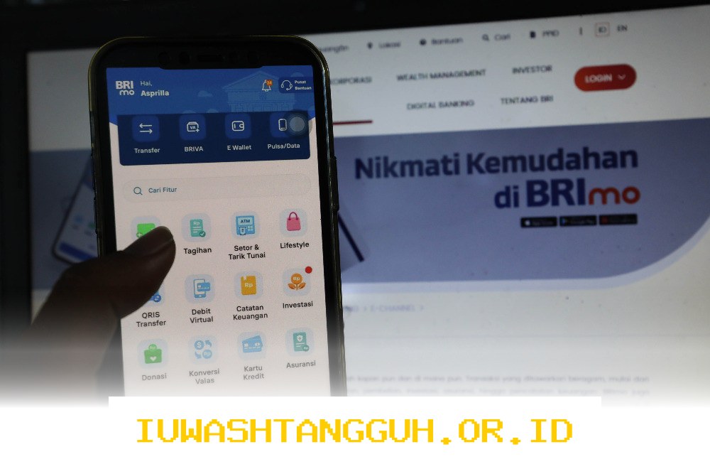 Tren Pembagian Dividen BRI dalam Lima Tahun Terkini dan Dampaknya bagi Pemegang Saham