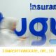 Tugu Insurance Prediksi Asuransi Perjalanan Akan Meningkat Drastis Menjelang Mudik Lebaran Ini Penjelasannya