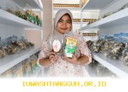 UMKM Perlu Terus Berinovasi demi Memperluas Jangkauan Pasar Global