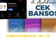 Verifikasi Penerima Bansos Maret 2026 Bisa Dilakukan Secara Online dan Offline dengan NIK KTP yang Praktis serta Efisien