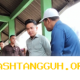 Wapres Gibran Tinjau Proyek Industri Nasional dan Stabilitas Harga Pangan di Tuban